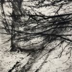 CAPTURING PLACE - Etchings by Ian Chamberlain, Ros Ford, Jemma Gunning and David Sully David Sully
A Path in Winter