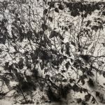 CAPTURING PLACE - Etchings by Ian Chamberlain, Ros Ford, Jemma Gunning and David Sully David Sully
Saplings in the Snow
