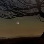 Earthshine (2021), Acrylic on linen - 