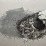 EARTH NOW - Lillias August
South African Shrike's nest - Lillias August, Barbara Beyer, Neil Bousfield, Fran Crowe, Melvyn King and Alan Turnbull