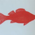 Red Perch,  Woodcut - 