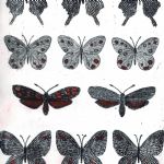 MITSUSHIGE NISHIWAKI Etchings Butterflies