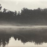 NORMAN ACKROYD - New Work The Lake at Ditchley - 2019