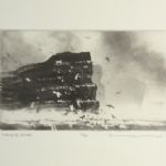 NORMAN ACKROYD - Recent work The Noup of Noss, Shetland