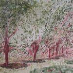 NORMAN ADAMS RA (1927-2005) THE ESSENCE OF LANDSCAPE In the Ardeche - Cherry Trees