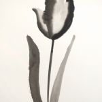VIVIENNE SCHADINSKY - on the line between earth and sky tulip 26
ink on paper