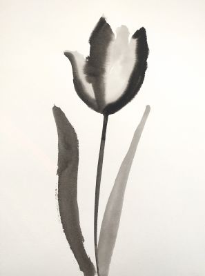 tulip 26, ink on paper